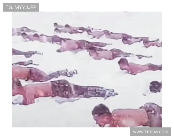 极限抗打训练：连续击头击腹的生存考验